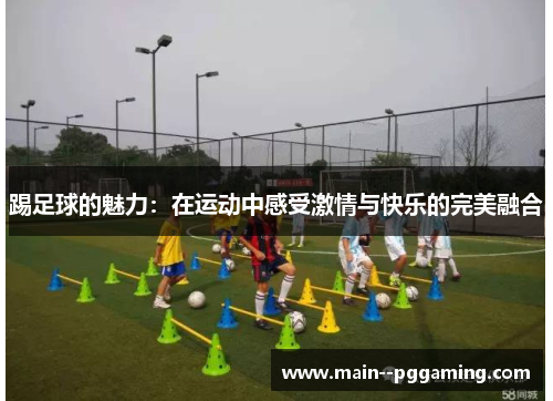 踢足球的魅力：在运动中感受激情与快乐的完美融合