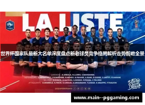 世界杯国家队最新大名单深度盘点新老球员竞争格局解析走势前瞻全景